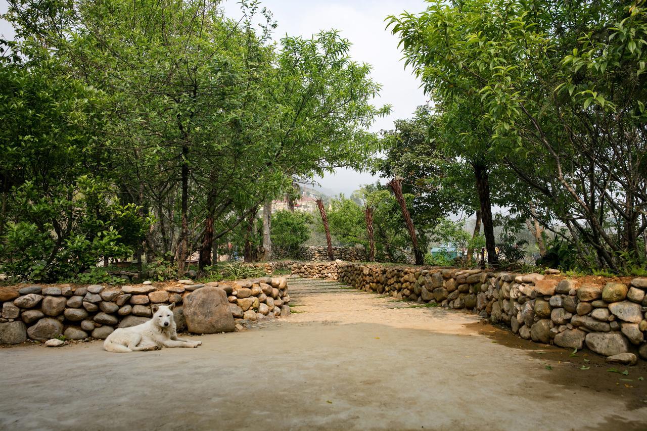 Tavan Riverside Ecolodge Sapa Exteriör bild
